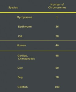 Chromosome Count