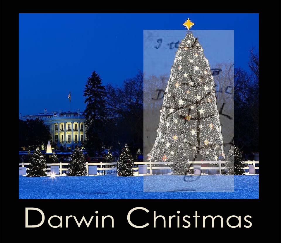 Christmas with Charles Darwin • Darwin, Then and Now