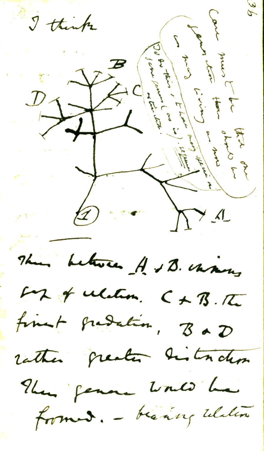 Inheritance, Second Principle of Natural Selection • Darwin, Then and Now