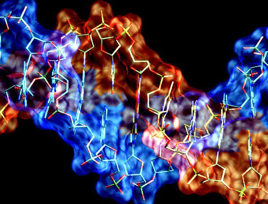 Заставка ДНК шоу. РНК фото под микроскопом.
