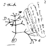 Species on Darwin's tree of life