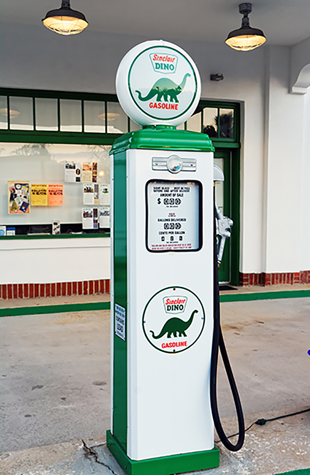 Dinosaurs Found in Unexpected Places • Darwin, Then and Now