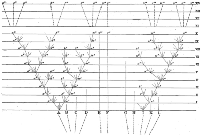 Charles Darwin Tree of Life