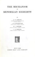 Mechanism of Mendelian Inheritance