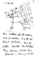 Darwin Tree of Life Names A